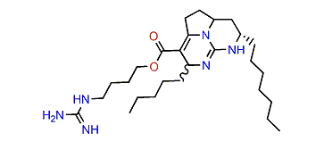 Batzelladine C